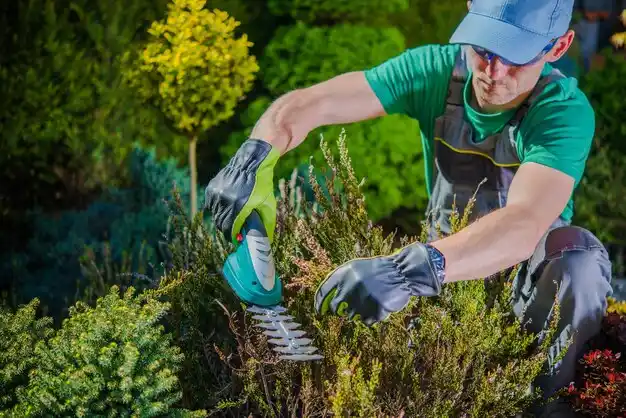 landscaping services Fort Johnson